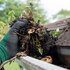 Gutter Issues Caused Falling Branches Debris